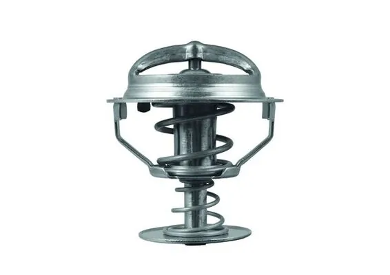 Termostat lichid racire