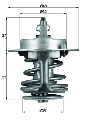 Termostat lichid racire