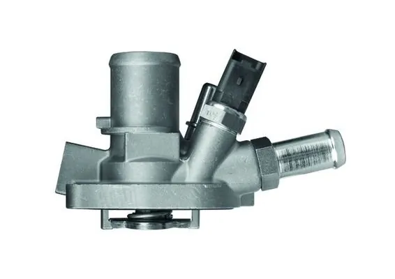 Termostat lichid racire