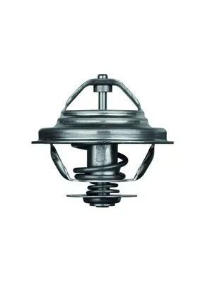 Termostat lichid racire