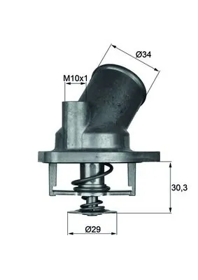 Termostat lichid racire