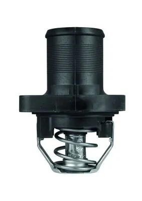 Termostat lichid racire