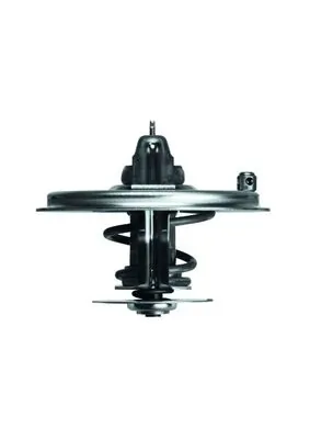 Termostat lichid racire