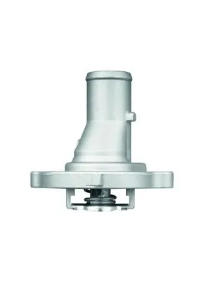 Termostat lichid racire