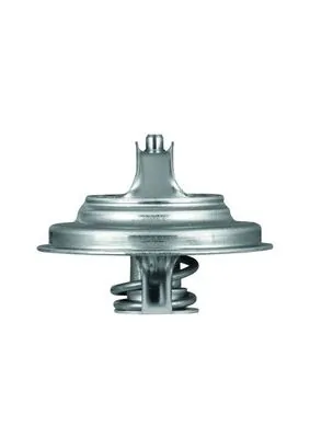 Termostat lichid racire