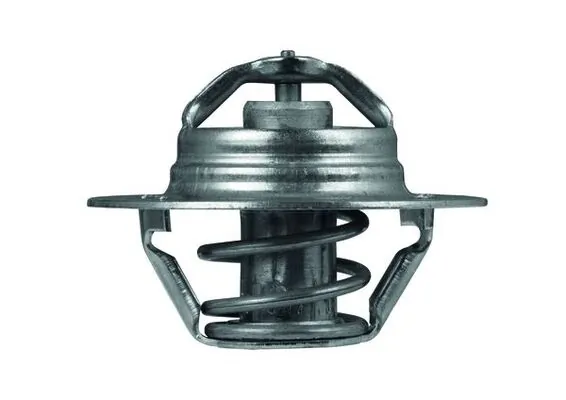 Termostat lichid racire