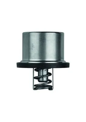 Termostat lichid racire