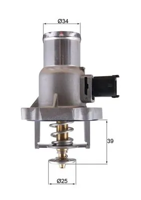 Termostat lichid racire