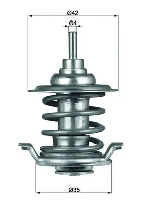 Termostat lichid racire