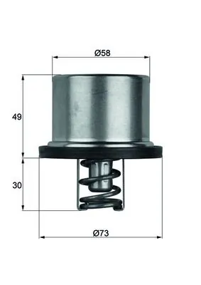 Termostat,lichid racire