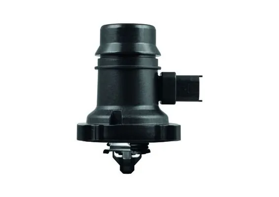 Termostat,lichid racire