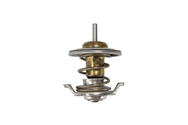 Termostat lichid racire