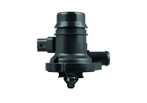 Termostat lichid racire