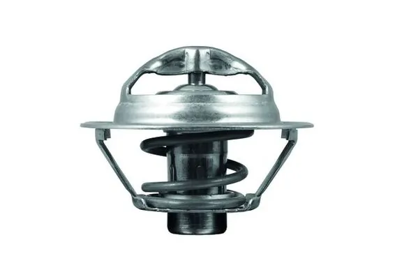 Termostat lichid racire