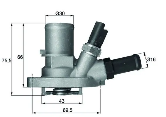 Termostat lichid racire