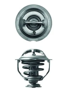Termostat lichid racire