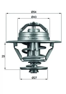 Termostat lichid racire