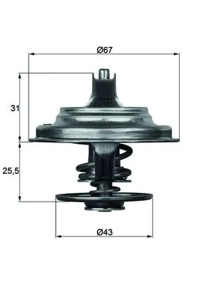 Termostat lichid racire