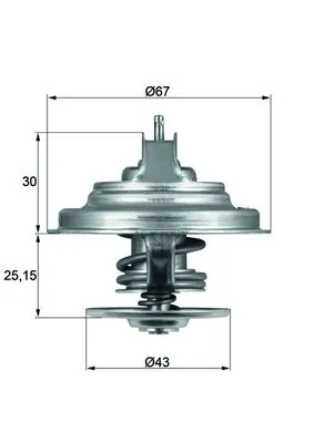 Termostat lichid racire