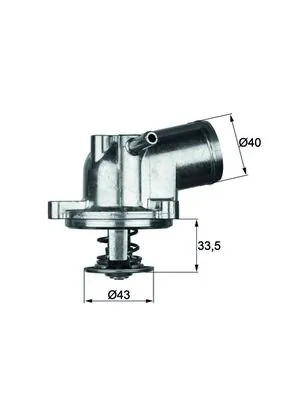 Termostat,lichid racire