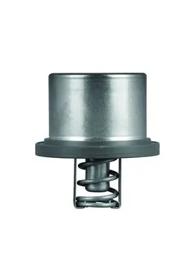 Termostat lichid racire