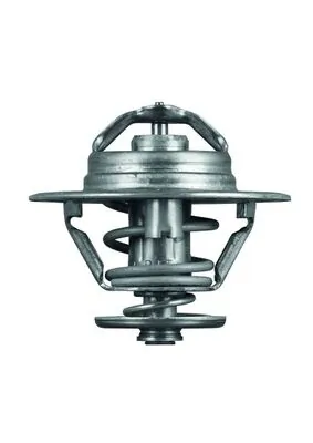 Termostat lichid racire