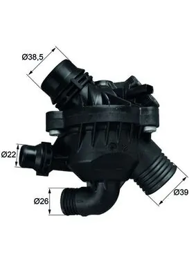 Termostat lichid racire