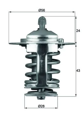 Termostat lichid racire