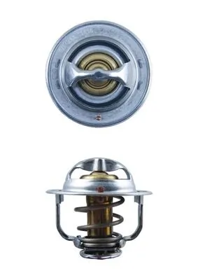 Termostat lichid racire