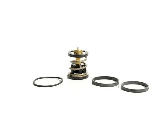 Termostat lichid racire