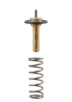 Termostat lichid racire