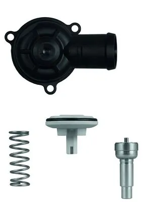 Termostat,lichid racire