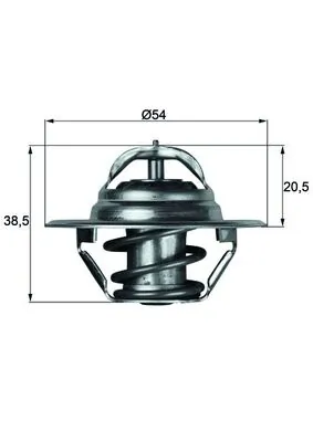 Termostat lichid racire