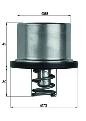 Termostat lichid racire