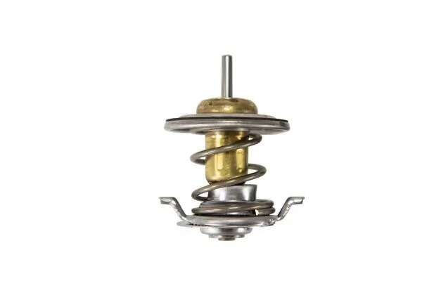 Termostat lichid racire