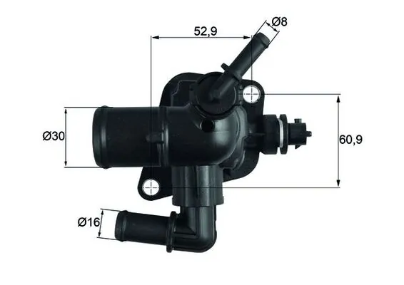 Termostat,lichid racire