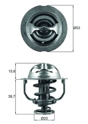 Termostat lichid racire