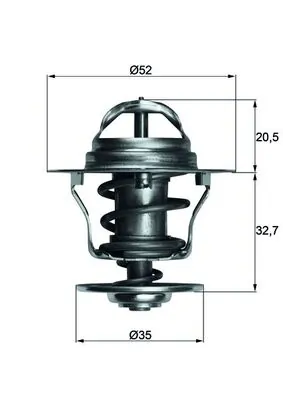 Termostat lichid racire