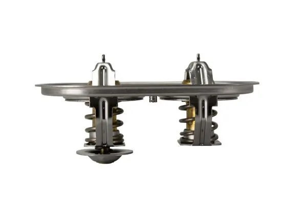 Termostat lichid racire