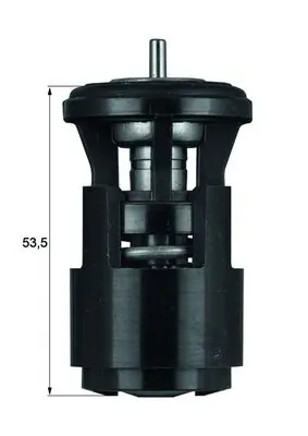 Termostat lichid racire