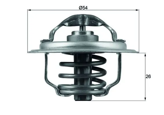 Termostat lichid racire