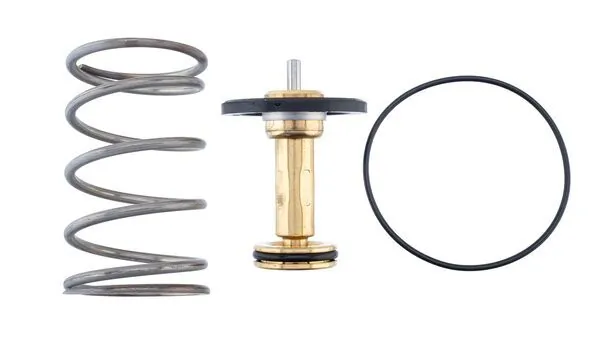 Termostat,lichid racire