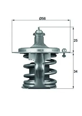 Termostat lichid racire