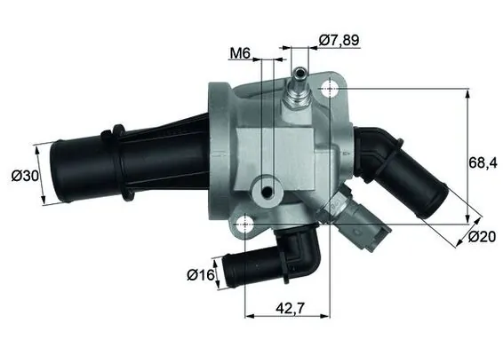 Termostat lichid racire