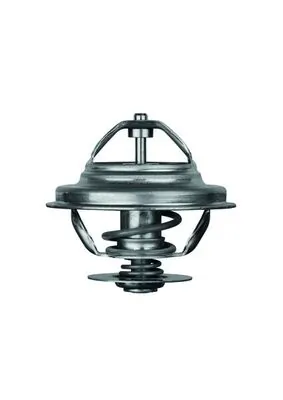 Termostat lichid racire