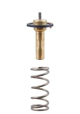 Termostat lichid racire