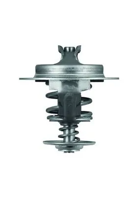 Termostat lichid racire