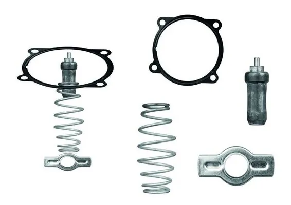 Termostat lichid racire