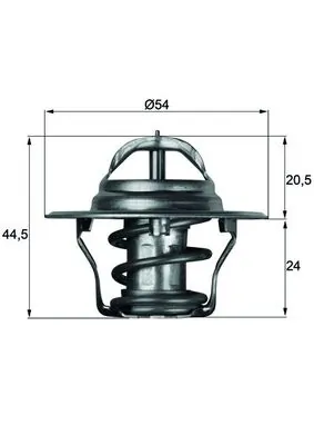Termostat lichid racire