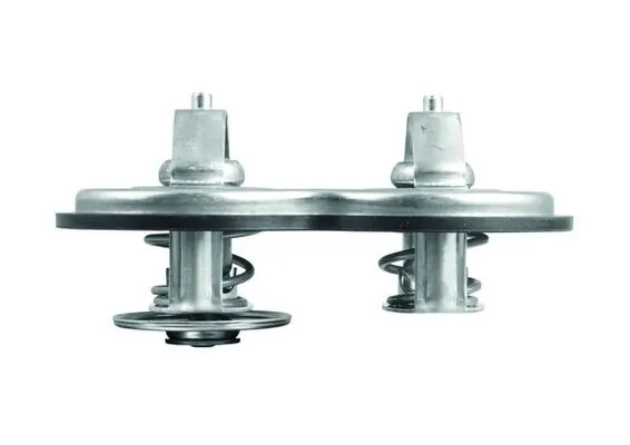 Termostat lichid racire